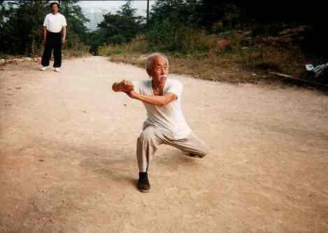 Чжан Сюшань демонстрирует технику тобибусиньчжан из таолу Луаньцзе